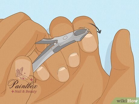 How to Use a Cuticle Cutter Like a Pro Nail Tech
