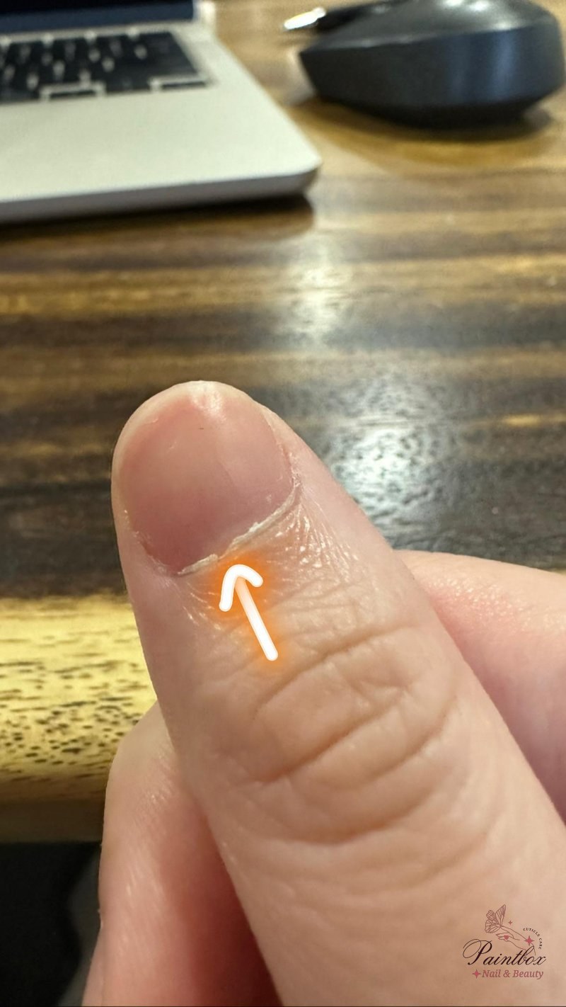 Do I need to cut my cuticle? : r/Nails