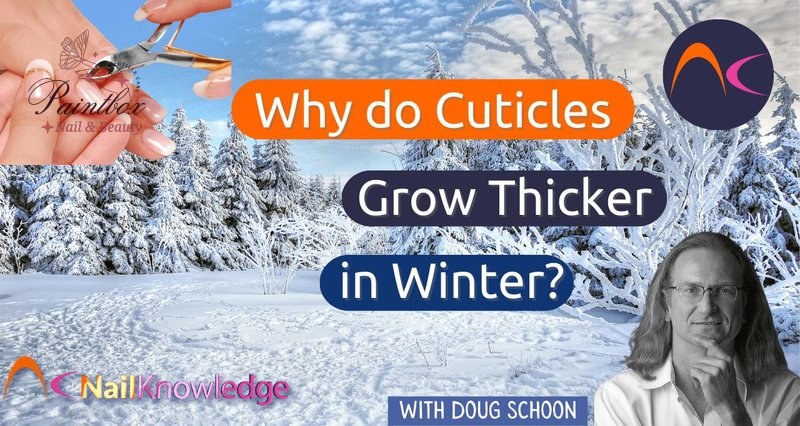 Cuticles grow thicker in winter due to environmental factors